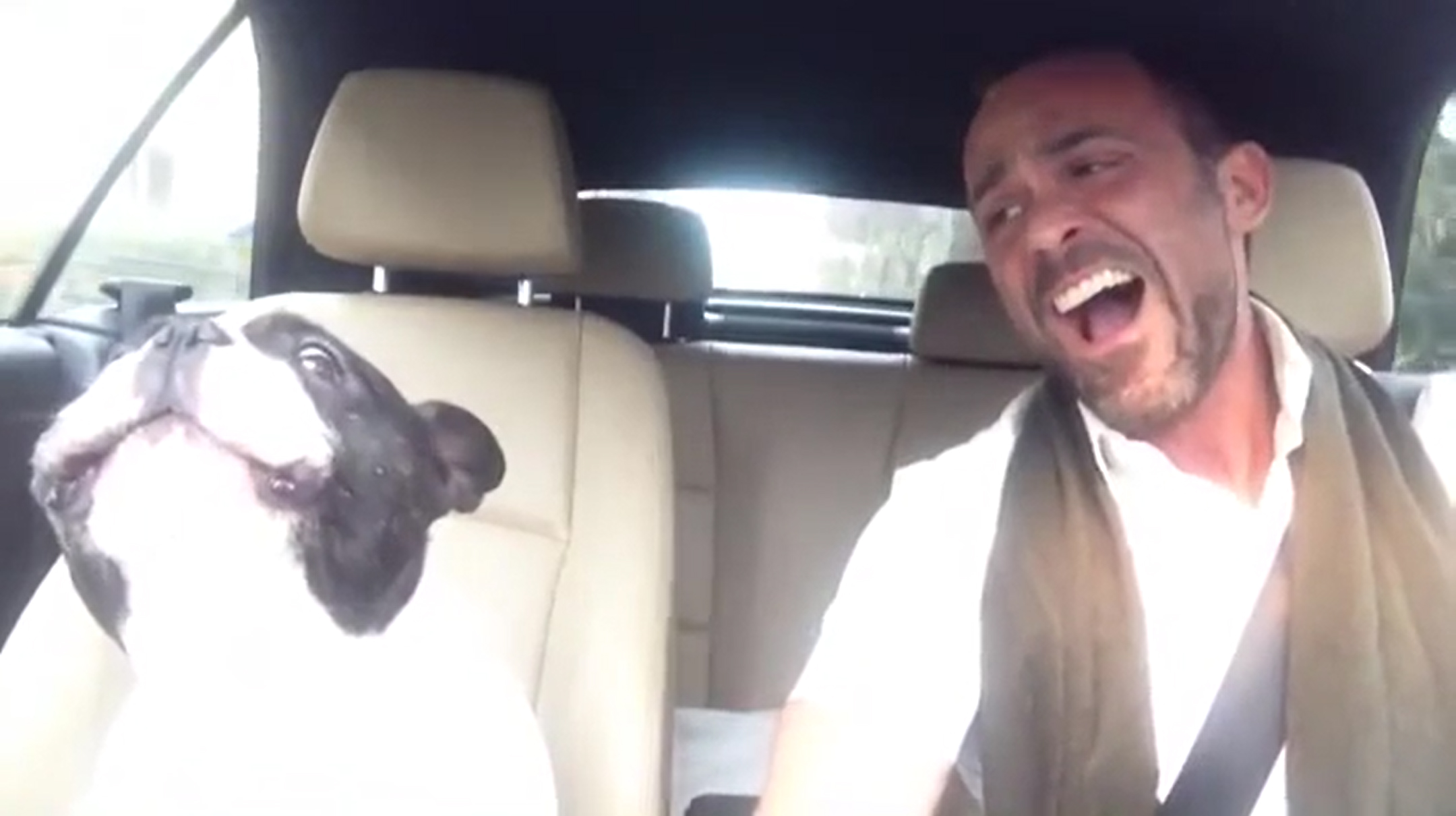 Man Serenades French Bulldog In Car, But When Dog 