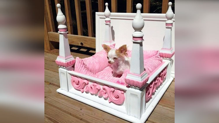 Diy princess dog bed best sale