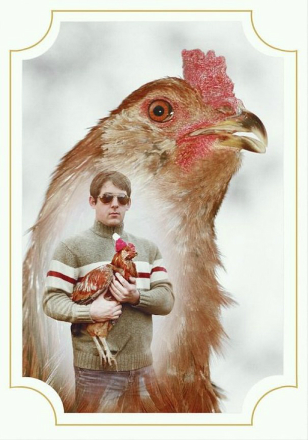 chicken christmas card