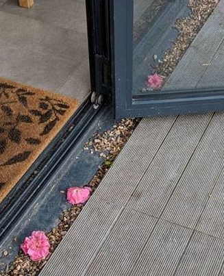 For weeks, a woman couldn't figure out how little pink flowers were making their way onto her porch. Finally, she caught the neighbor's cat Willow making a delivery.