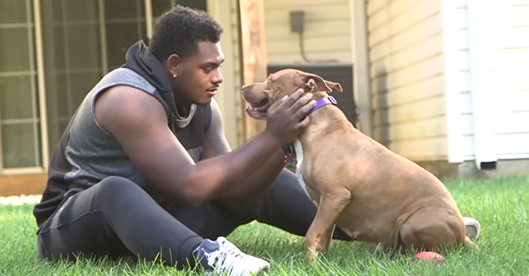 NFL Player Ronnie Stanley Adopts Dog Nobody Else Wanted - The Dodo