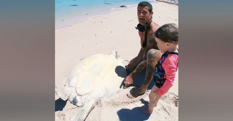 Filmmaker Brodie Moss Saves Australian Sea Turtle. InspireMore