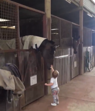 Toddler Does Rounds At Horse Stable In Cute Video - InspireMore