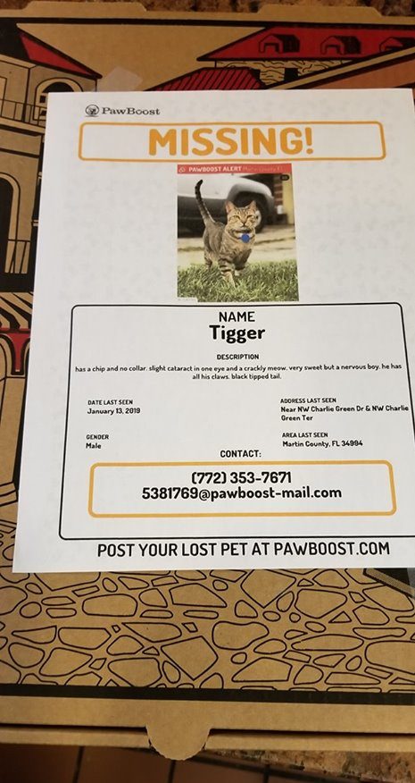 Matawan Pizzeria Puts Missing Pet Pics On Their Pizza Boxes