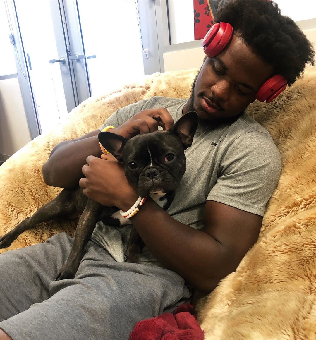 49ers Emotional Support Dog, Rookie, Passes Away : r/49ers