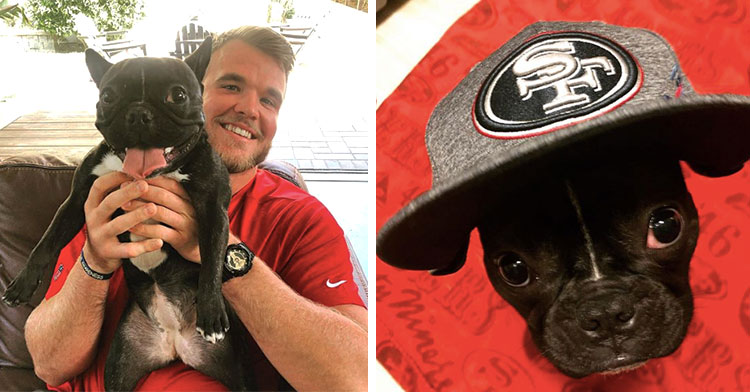 49ers Get NFL's 1st Emotional Support Dog For Players. -InspireMore