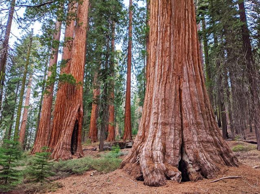 Explore National Parks At Home Through Google Earth. -InspireMore