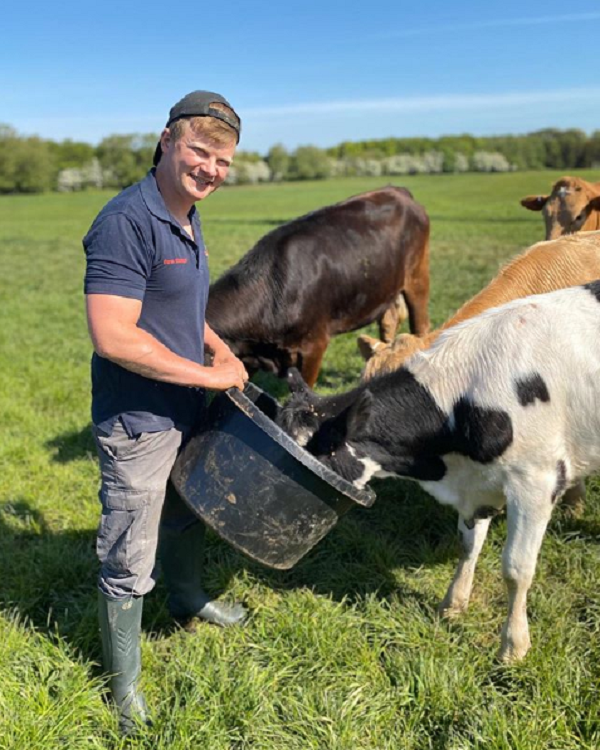 Farmer Installs Giant Bristle Brush In Pasture And His Cows Go Nuts For It