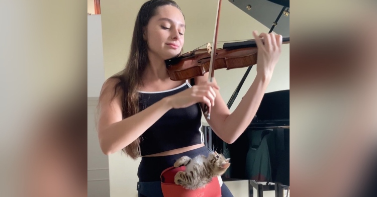 When Foster Kitten Won’t Stop Crying, Violinist Finds Sweetest Way To ...