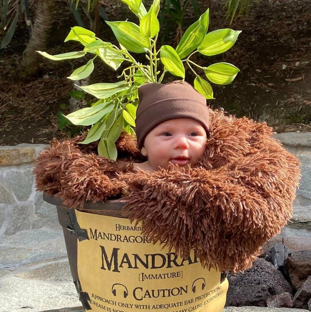 15-kids-halloween-costumes-that-are-the-definition-of-extra-inspiremore