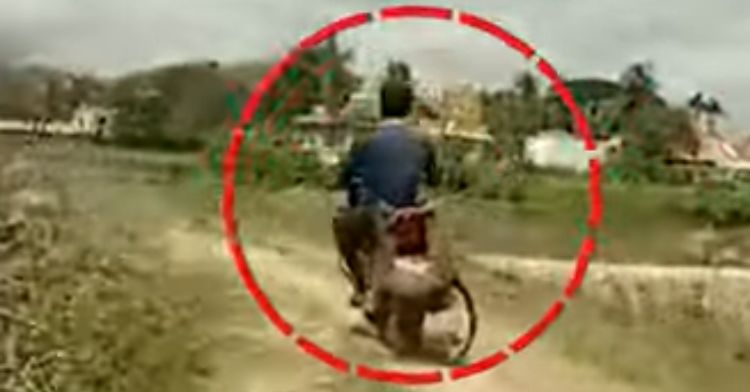 A man tried to rush a leopard to the vet on his motorcycle.