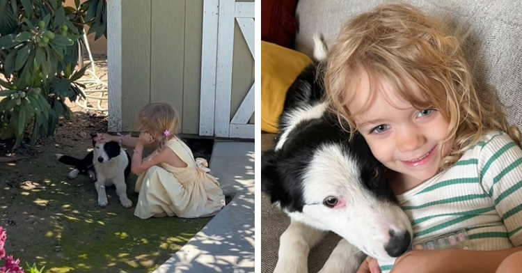 A two-photo collage. The first shows a little girl petting a stray dog. The second shows that same girl and dog cuddled on a couch, smiling.