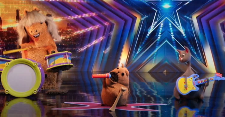 Animated animals of the band Noodle and Bun perform on the “AGT” stage. A horse plays the drums, a dog sings into a mic, and a cat plays the guitar.