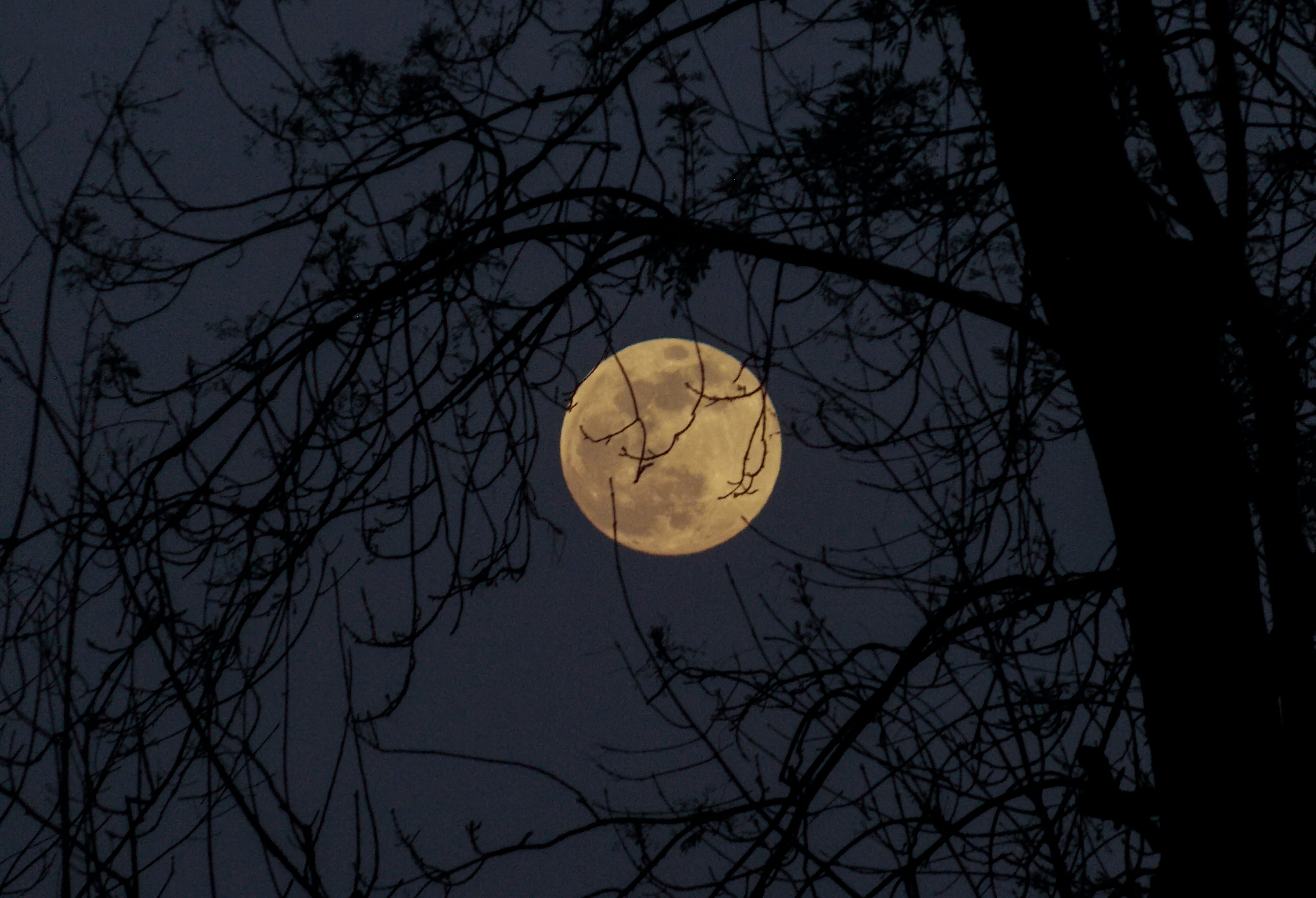 September's Harvest Moon Is Also A Supermoon! Here's How To See It.