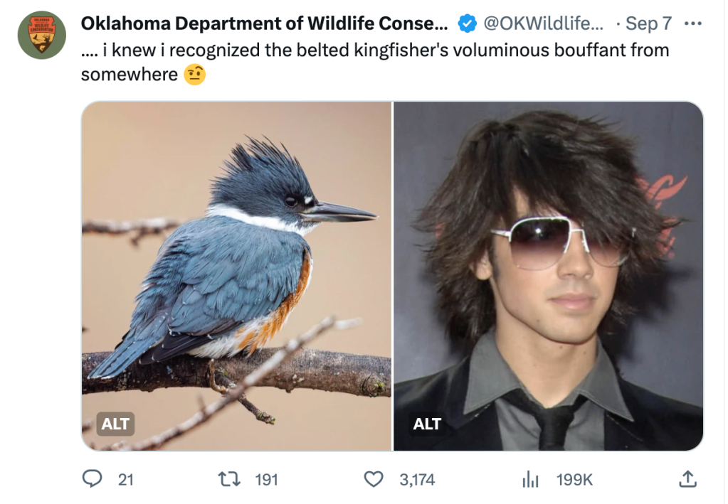 oklahoma department of wildlife conservation vs. joe jonas