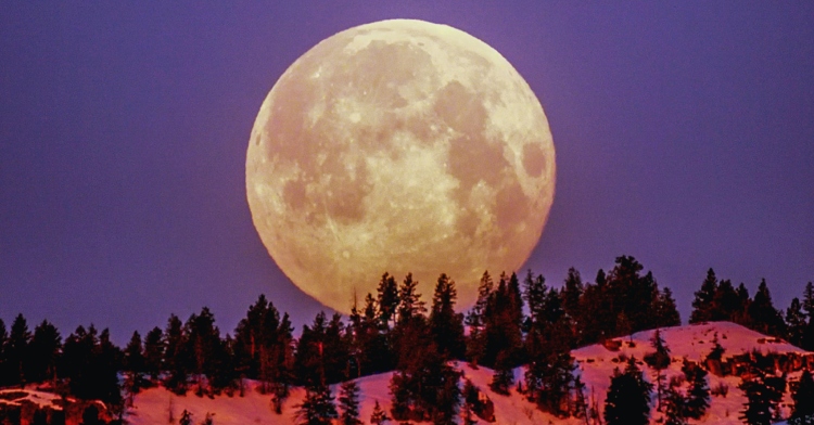 Don't Miss The Full Beaver Moon Tonight! How To See It. – InspireMore