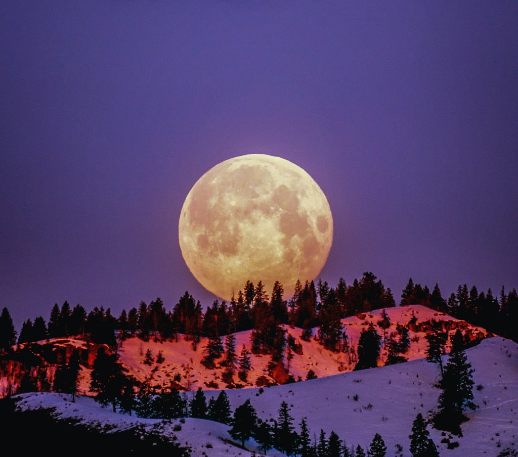 View of a large, bright full Moon in a dark blue/purple sky. The Moon is rising behind snow covered mountain with lots of trees.