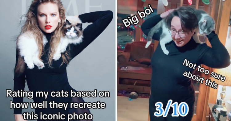 Cats Recreate Iconic Taylor Swift Time Cover With Hilarious Results Inspiremore