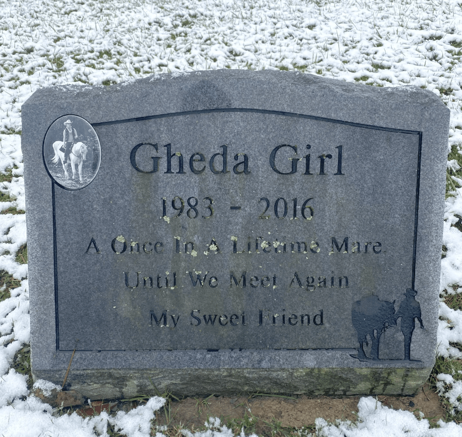 Gheda Horse headstone