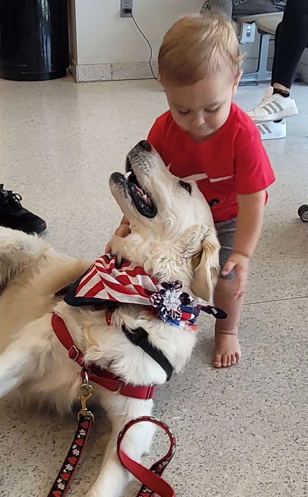 dog playing with baby