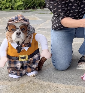 Courteney Cox Dresses Up Her Dogs For Dress Up Your Pet Day — One Is ...