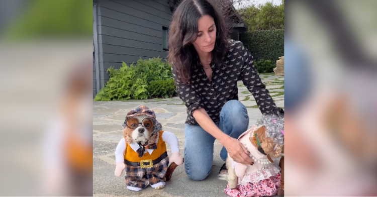 Courteney Cox Dresses Up Her Dogs For Dress Up Your Pet Day — One Is ...