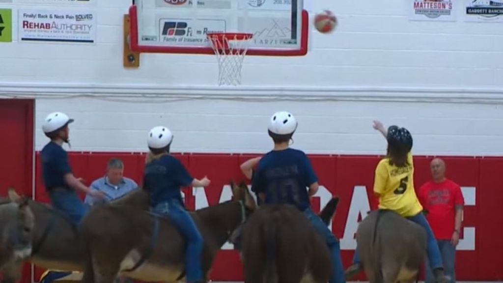 Image shows a donkey basketball game in progress as one player shoots for the basket.