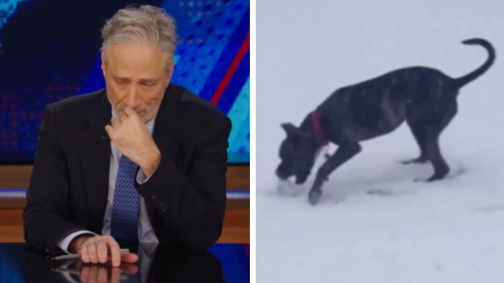 A two-photo collage. The first shows Jon Stewart covering his mouth as he looks down, holding back tears. The second image shows Stewart's late dog, Dipper, running around in the snow.