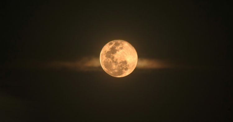 A beautiful, orange full moon in the night sky.