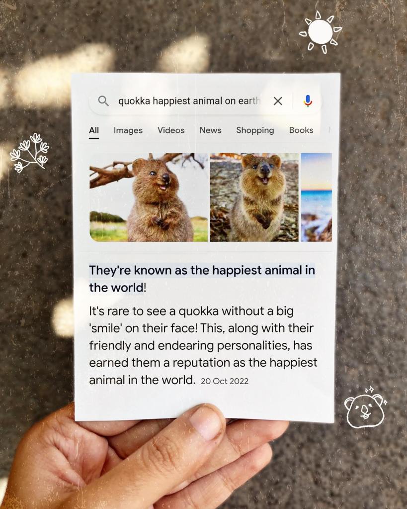 Image shows the search results with animal facts to answer the question "Are Quokkas The Happiest Animal On Earth?"