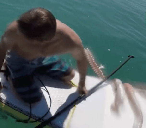 man with squid on surfboard