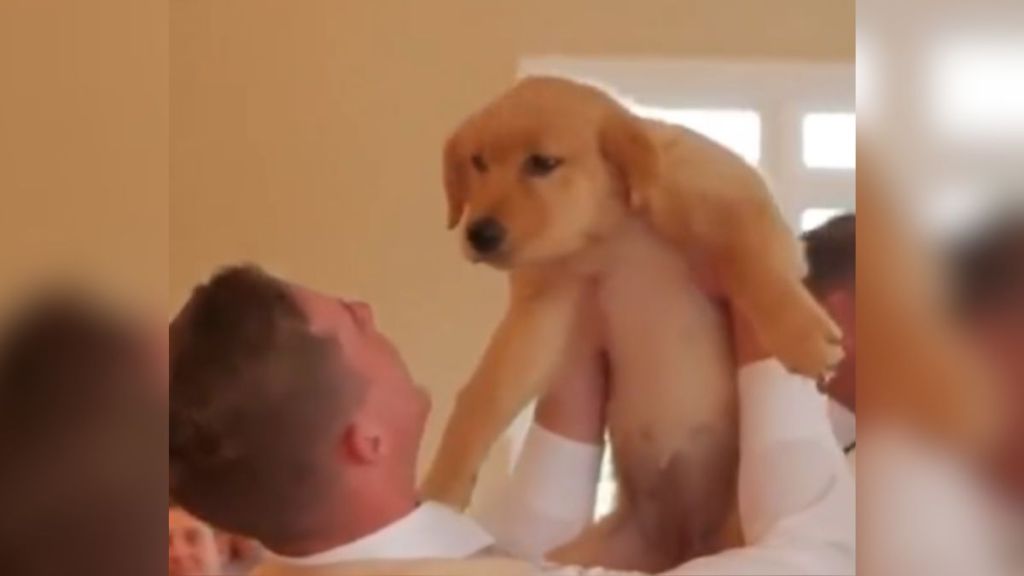 A man at a wedding holds a puppy in the air.