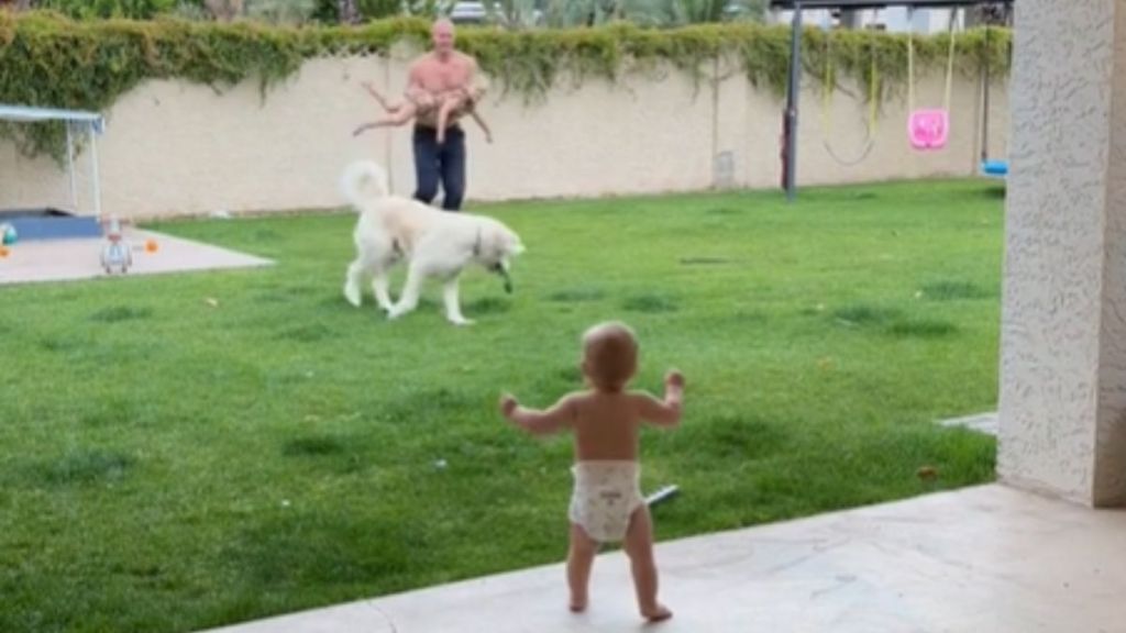 A baby in a diaper stands up in the backyard while his dad and sister play with a dog.