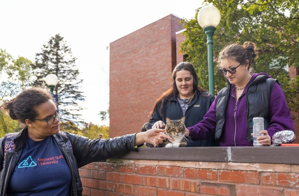 A group of university students petting a cat. 