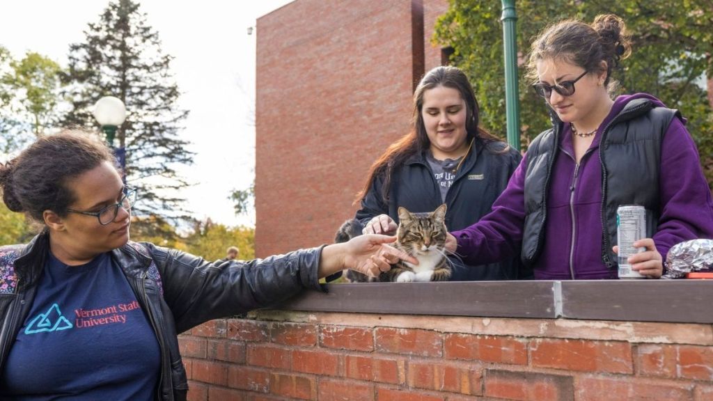 A group of university students petting a cat.