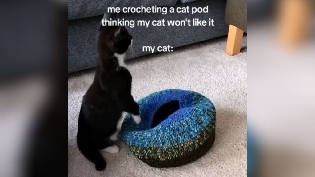A cat standing next to a crochet pod.