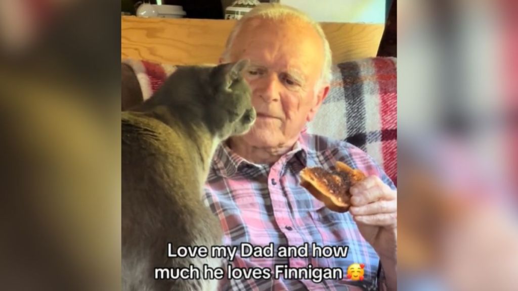 An elderly man looks at a cat who is begging for a bite of his toast.
