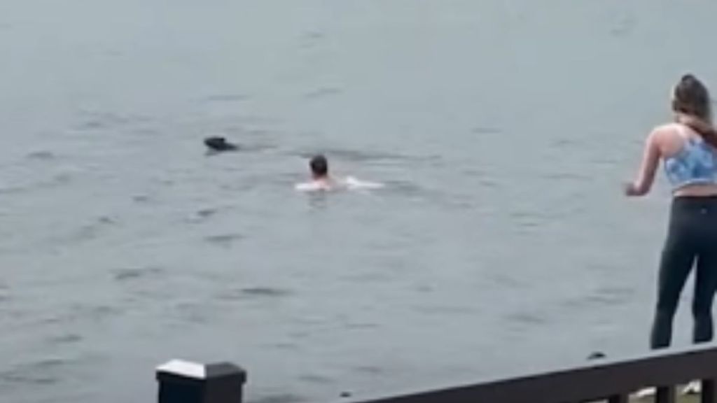 A man swims after a dog in the river while a woman watches anxiously.