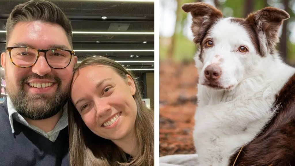 A two-photo collage. The first shows a man and woman smiling together. The second shows a close up of a white and brown Border Collie posing outside.