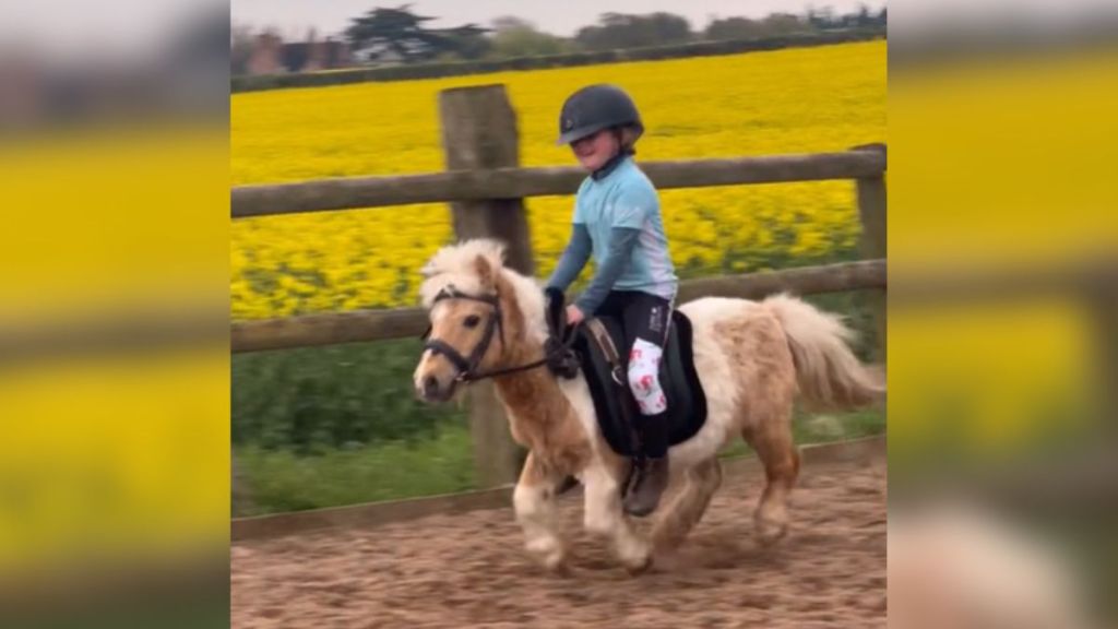 A little girl riding a tiny pony.