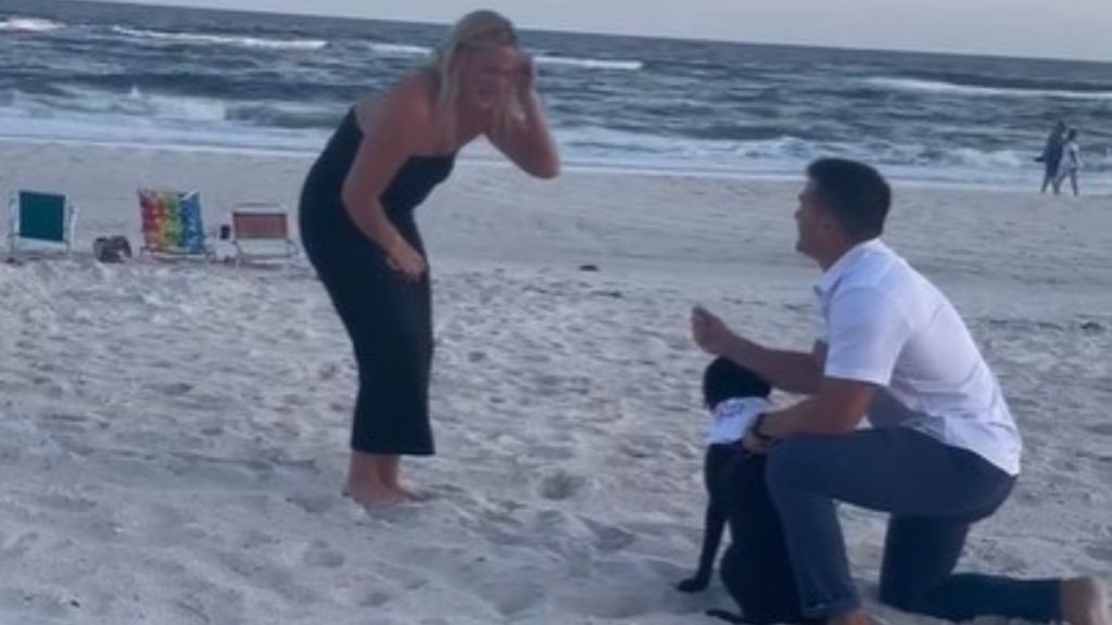 Image shows a man proposing on a beach with the couple's Labrador helping.