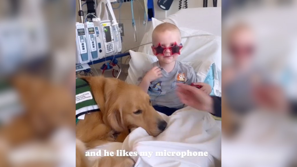 Therapy dog children's hospital