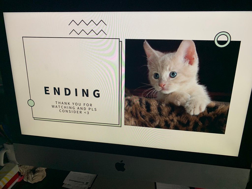 A screen showing the end of a presentation along with a picture of a kitty. 