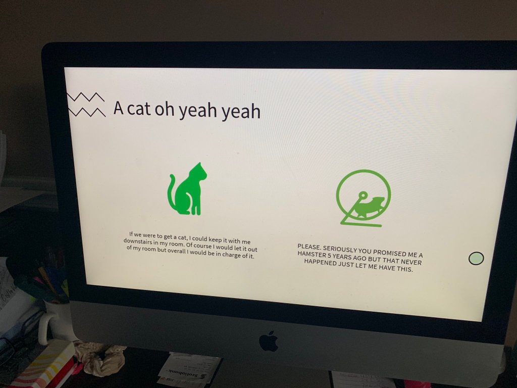 A screen showing a PowerPoint presentation about getting a cat. 