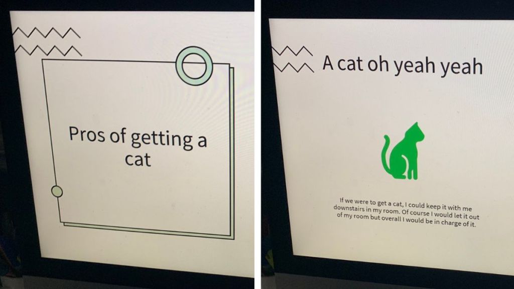 Two slides from a PowerPoint presentation on getting a cat.