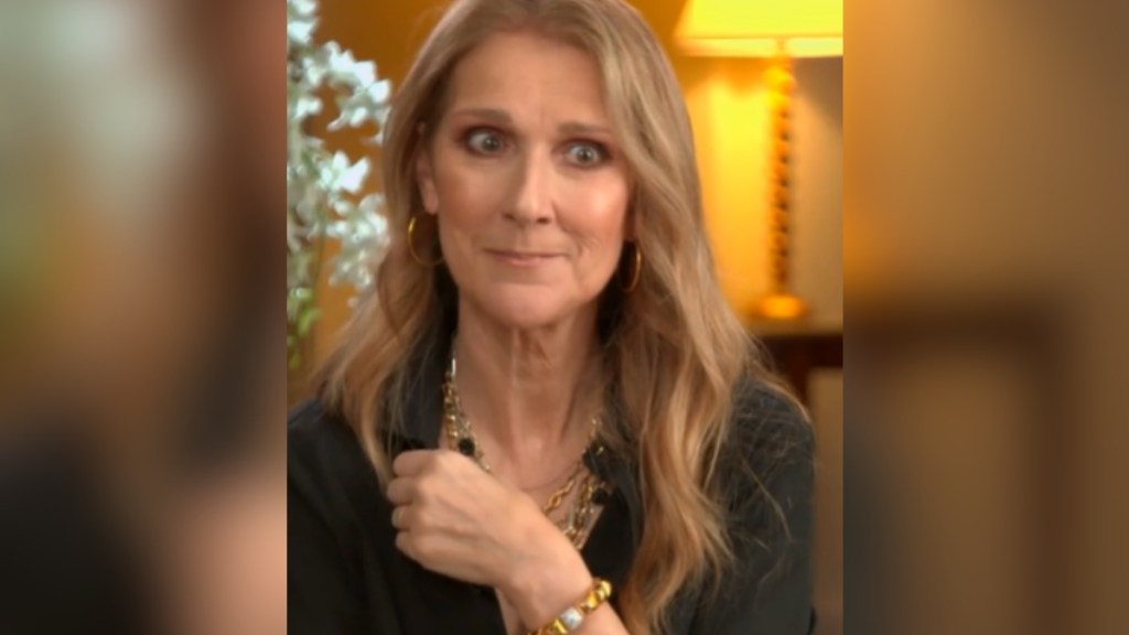 Celine Dion gives a small, determined smile during an interview