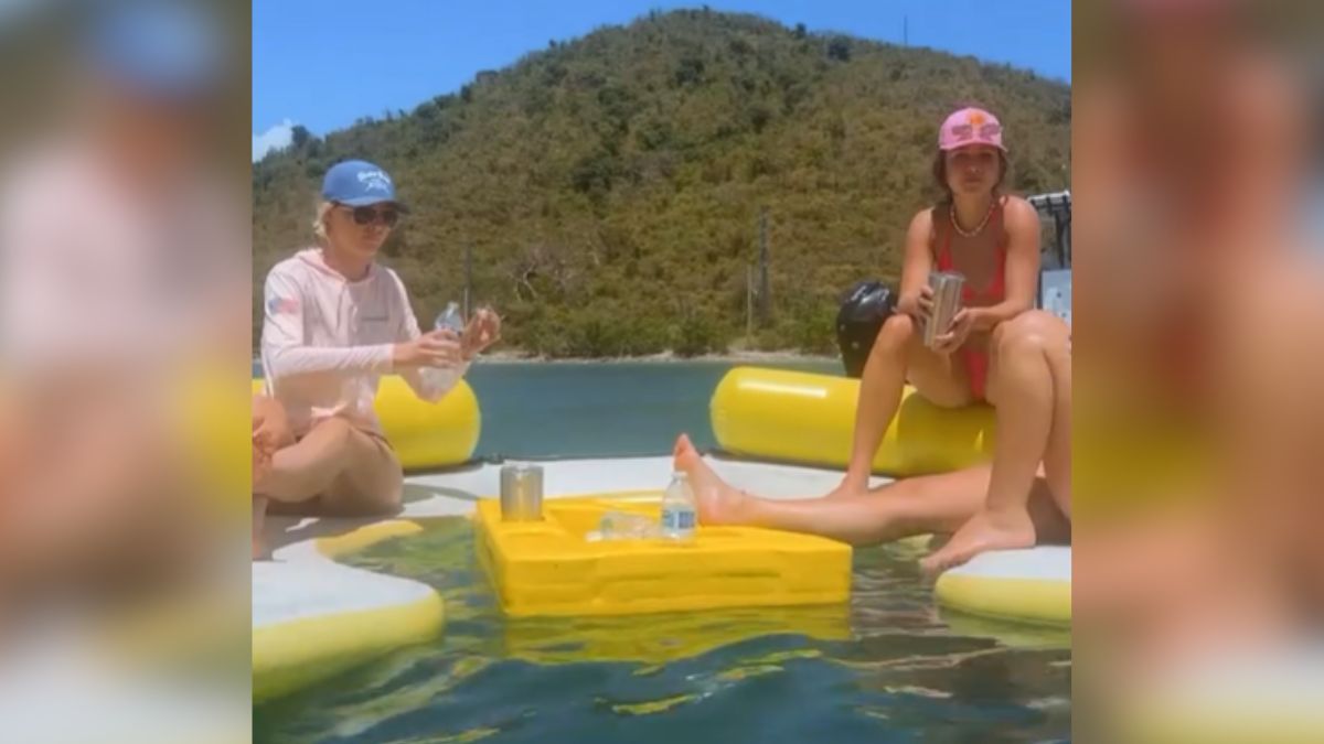 Patrons At Swim Up Bar Delighted By Unexpected Aquatic Guest