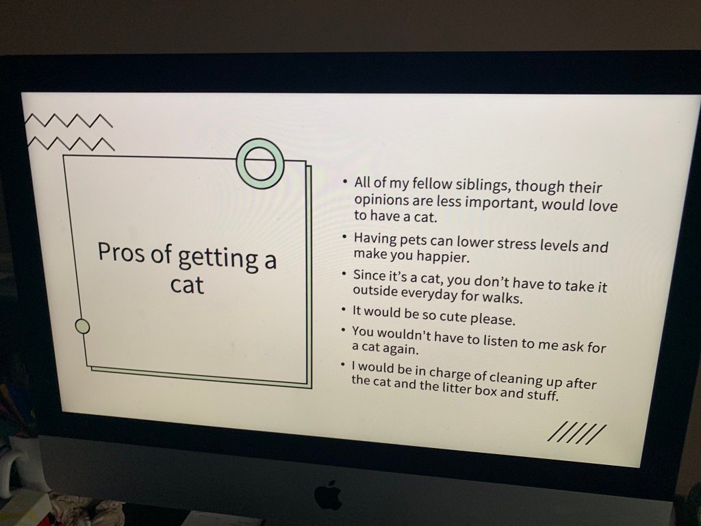 A PowerPoint presentation that says "Pros of getting a cat."