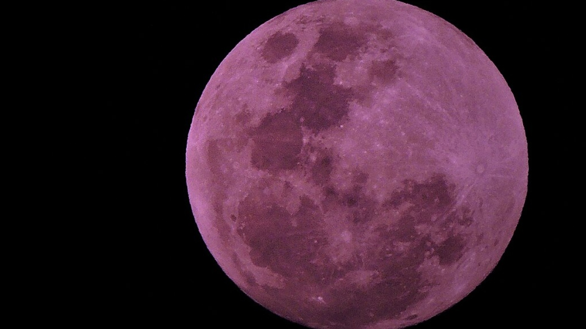 Don't Miss Tonight's Full Strawberry Moon! Here's What To Know ...