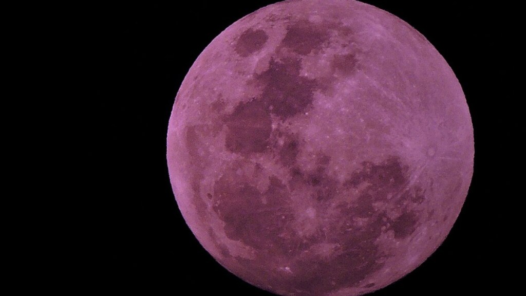 Close up of a pink full moon